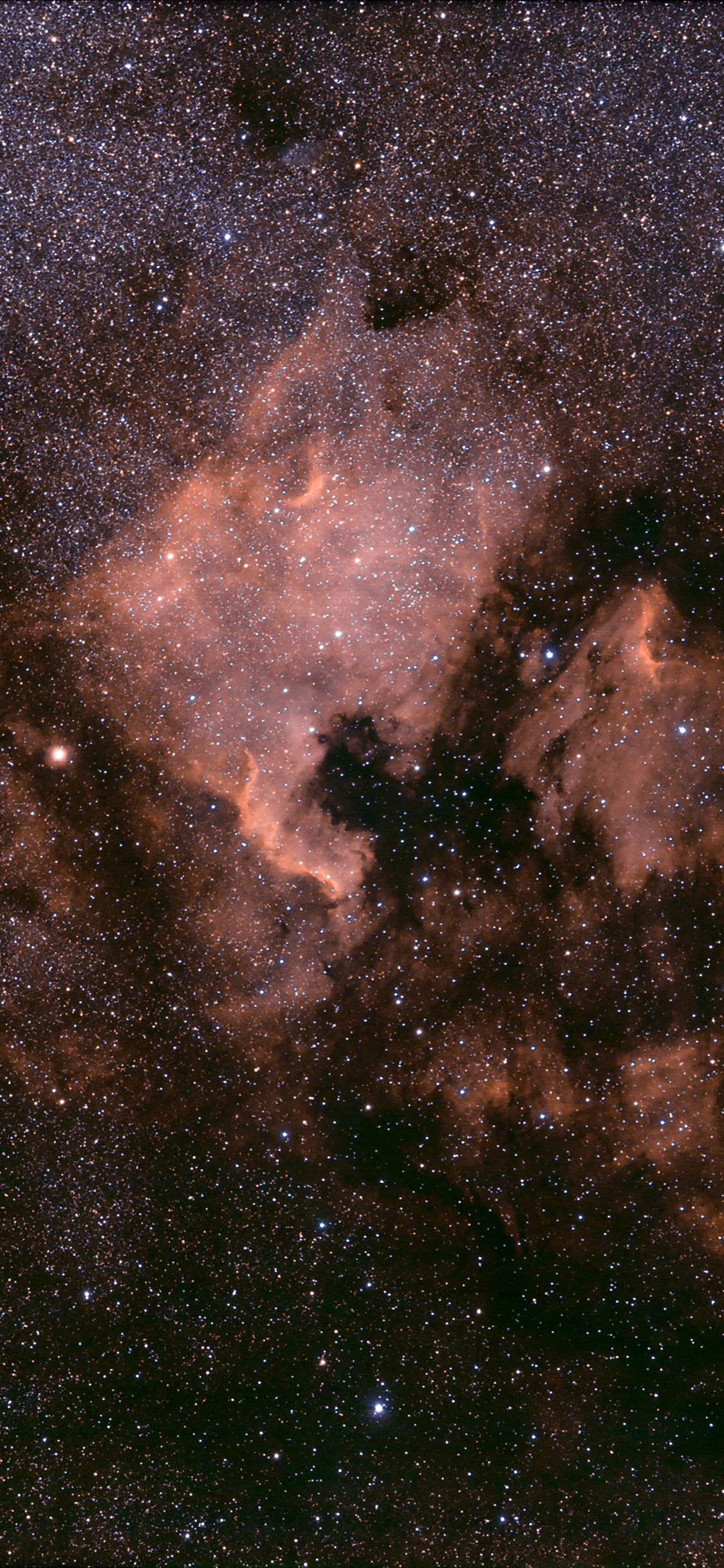 [2436×1125]星空 璀璨 银河 星河 苹果手机壁纸图片