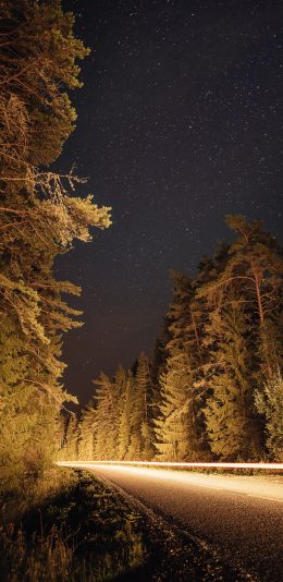 [2436x1125]星空 车道 树木 夜景 苹果手机壁纸图片