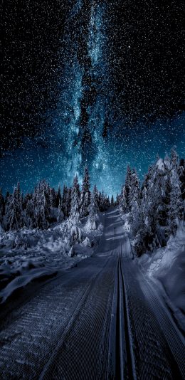 [2436x1125]星空 雪地 夜空 夜晚 苹果手机壁纸图片