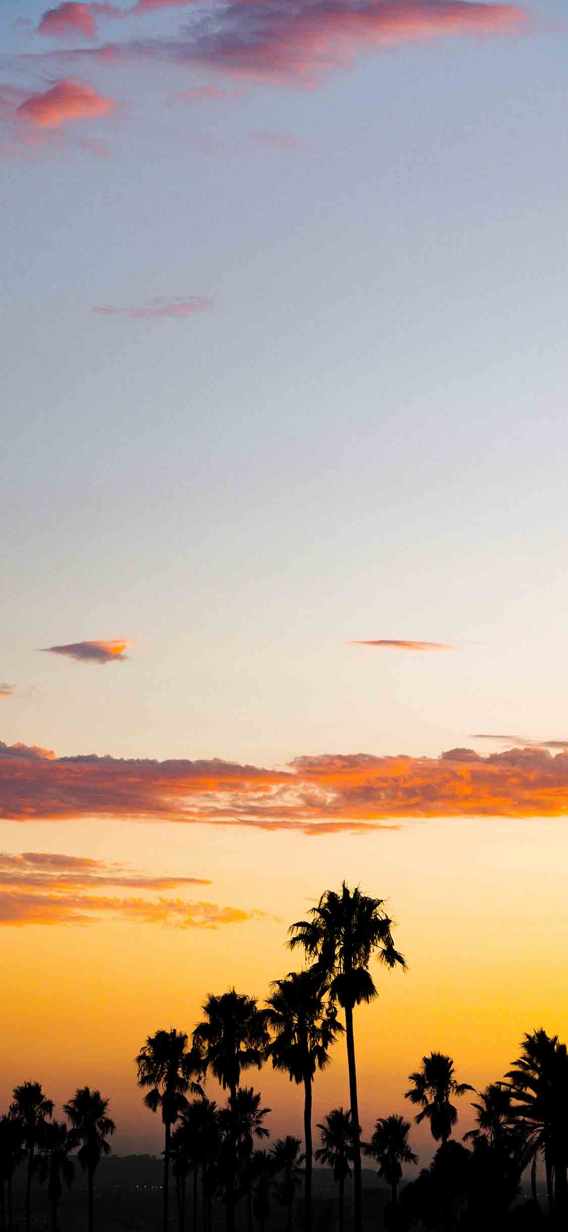 [2436×1125]晚霞 夕阳美景 椰树 唯美 苹果手机壁纸图片