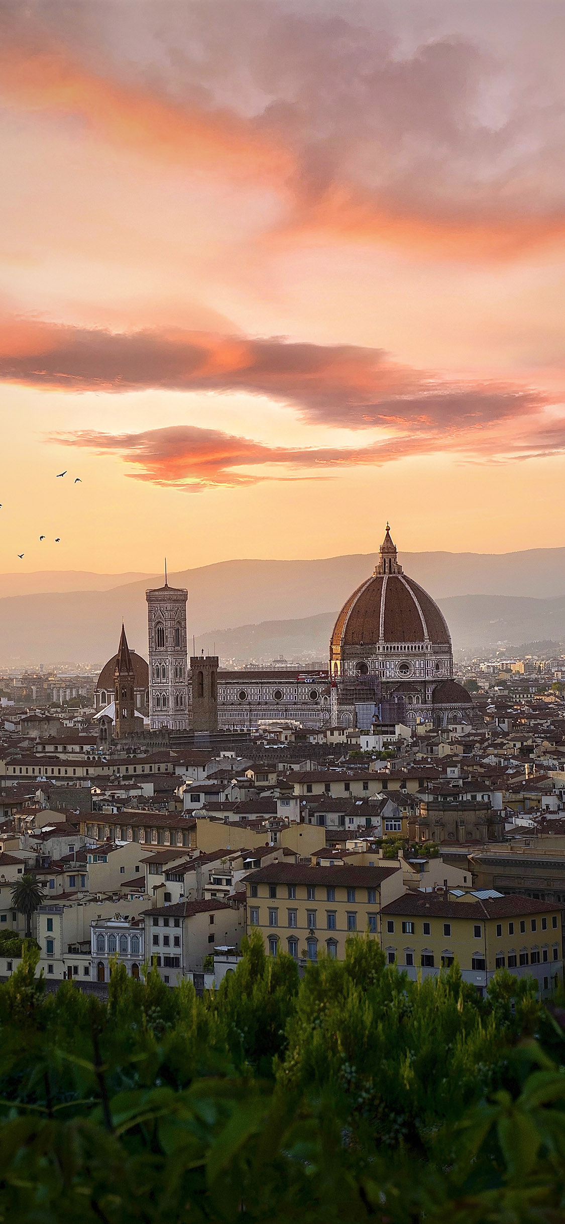 [2436×1125]晚霞 红云 城市 风光 苹果手机壁纸图片