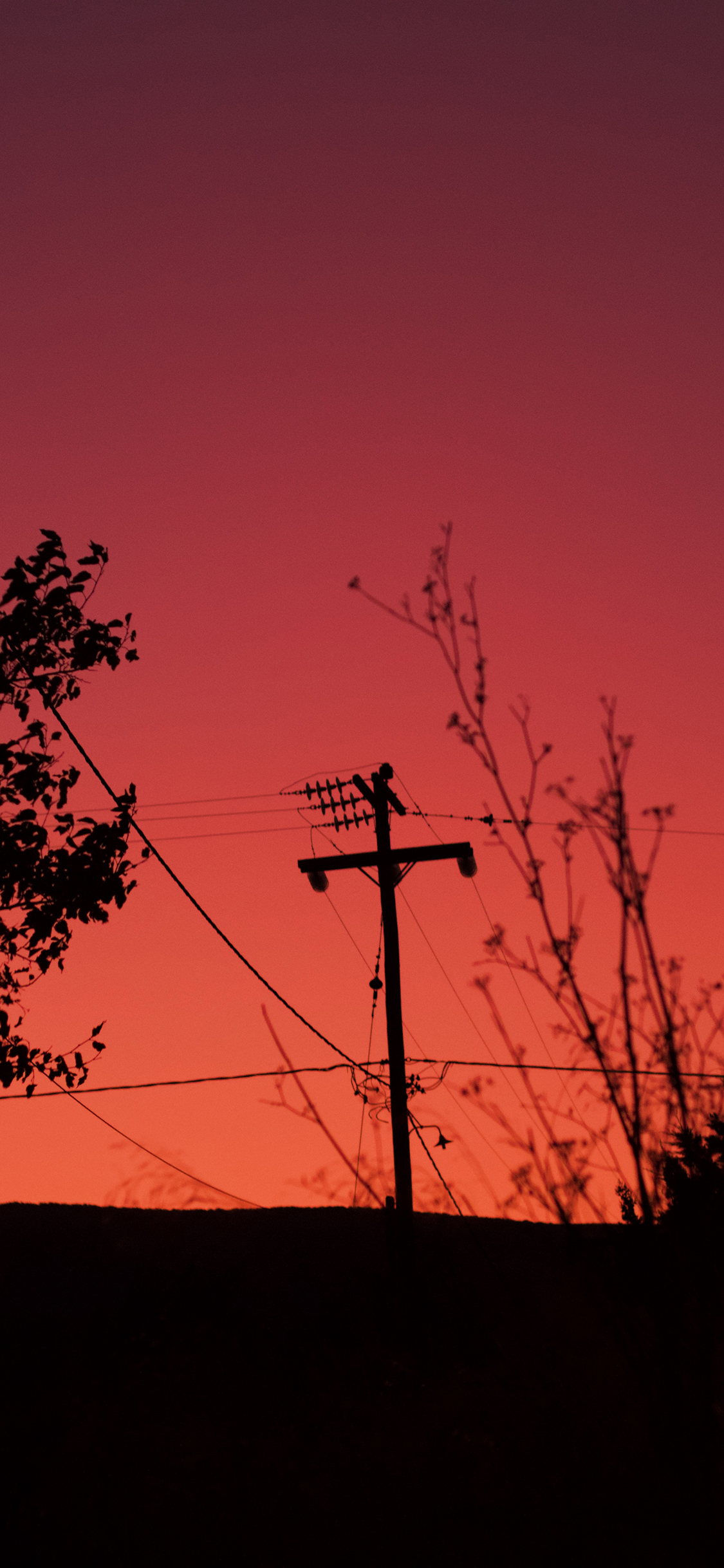 [2436×1125]晚霞 红云 电线杠 唯美 苹果手机壁纸图片