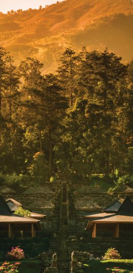 [2436x1125]景点  树林 楼梯 登山 苹果手机壁纸图片