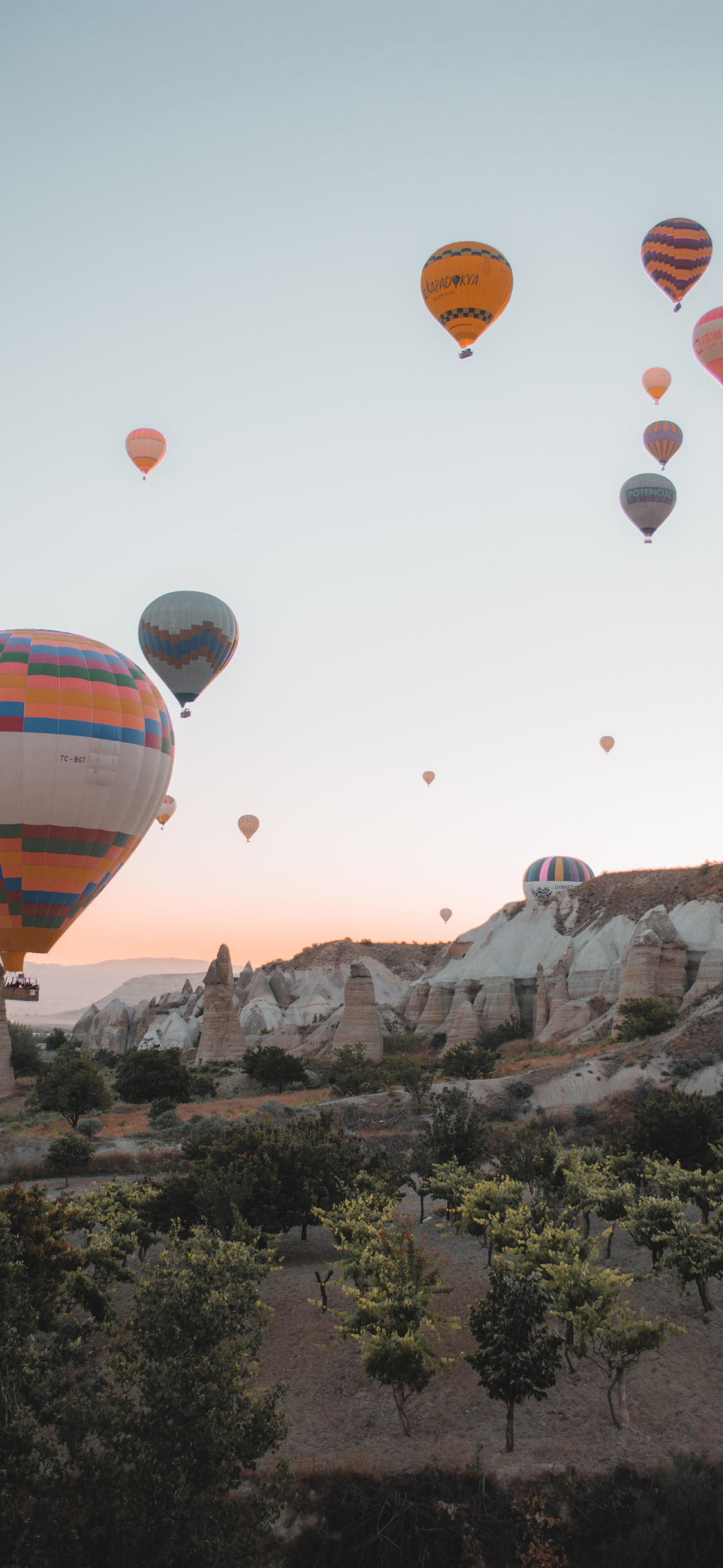 [2436×1125]景点 热气球 升空 晨光 苹果手机壁纸图片