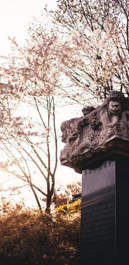 [2436x1125]景点 石碑 雕像 树木 苹果手机壁纸图片