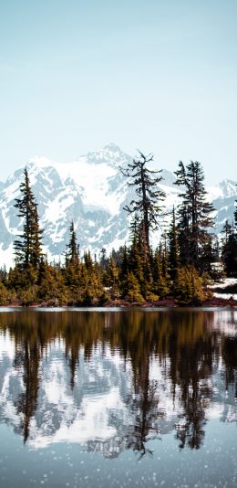 [2436x1125]景色 倒映 雪山 树林 湖面 苹果手机壁纸图片