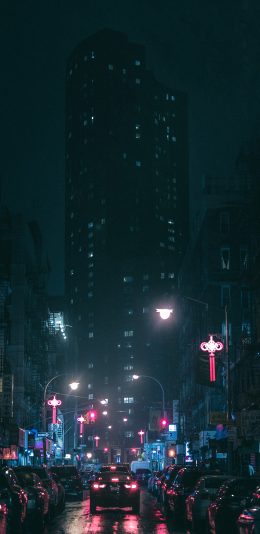 [2436x1125]景色 城市 夜景 苹果手机壁纸图片