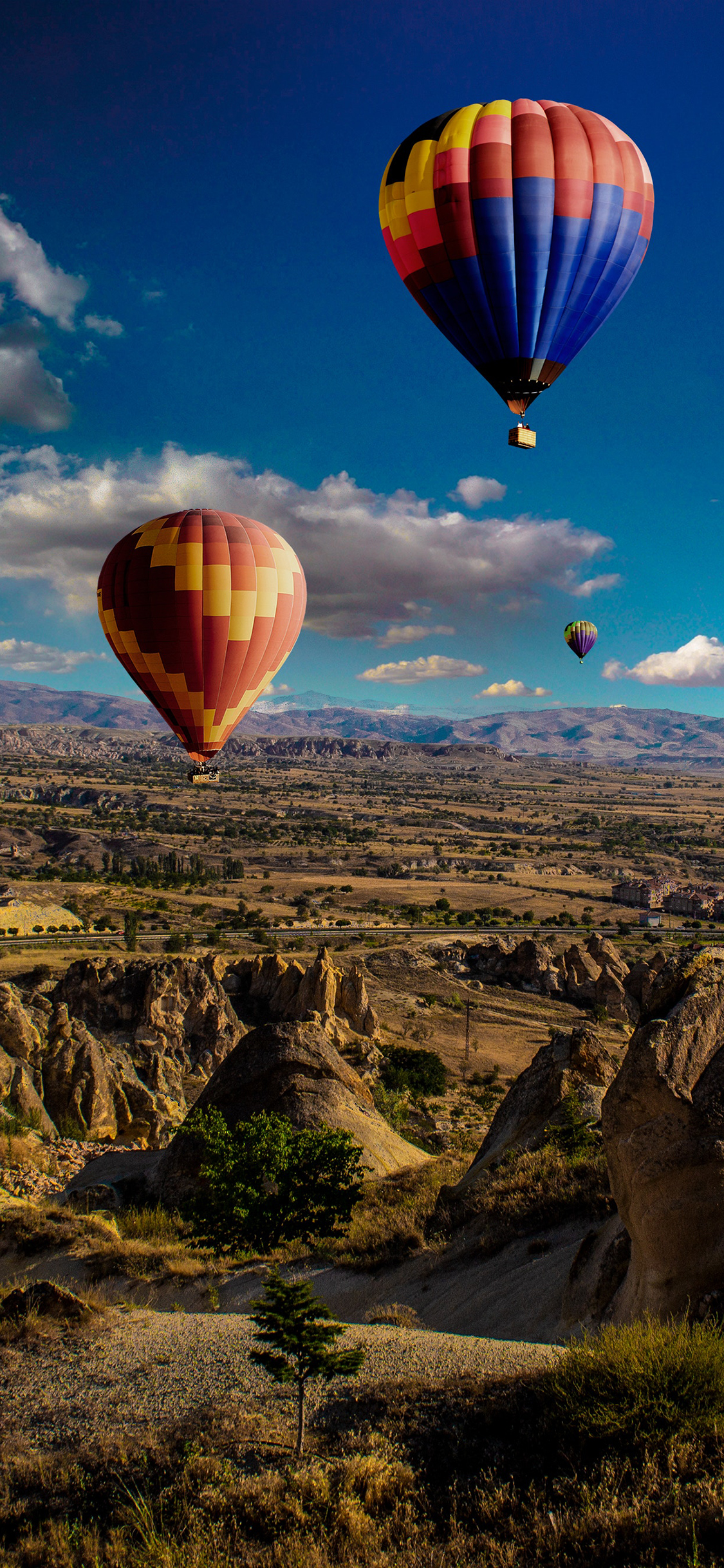 [2436×1125]景色 天空 热气球 景点 地貌 苹果手机壁纸图片