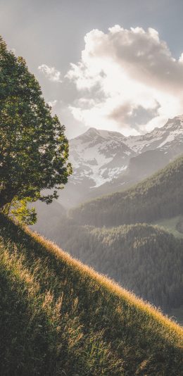 [2436x1125]景色 山坡 高山 远眺 苹果手机壁纸图片