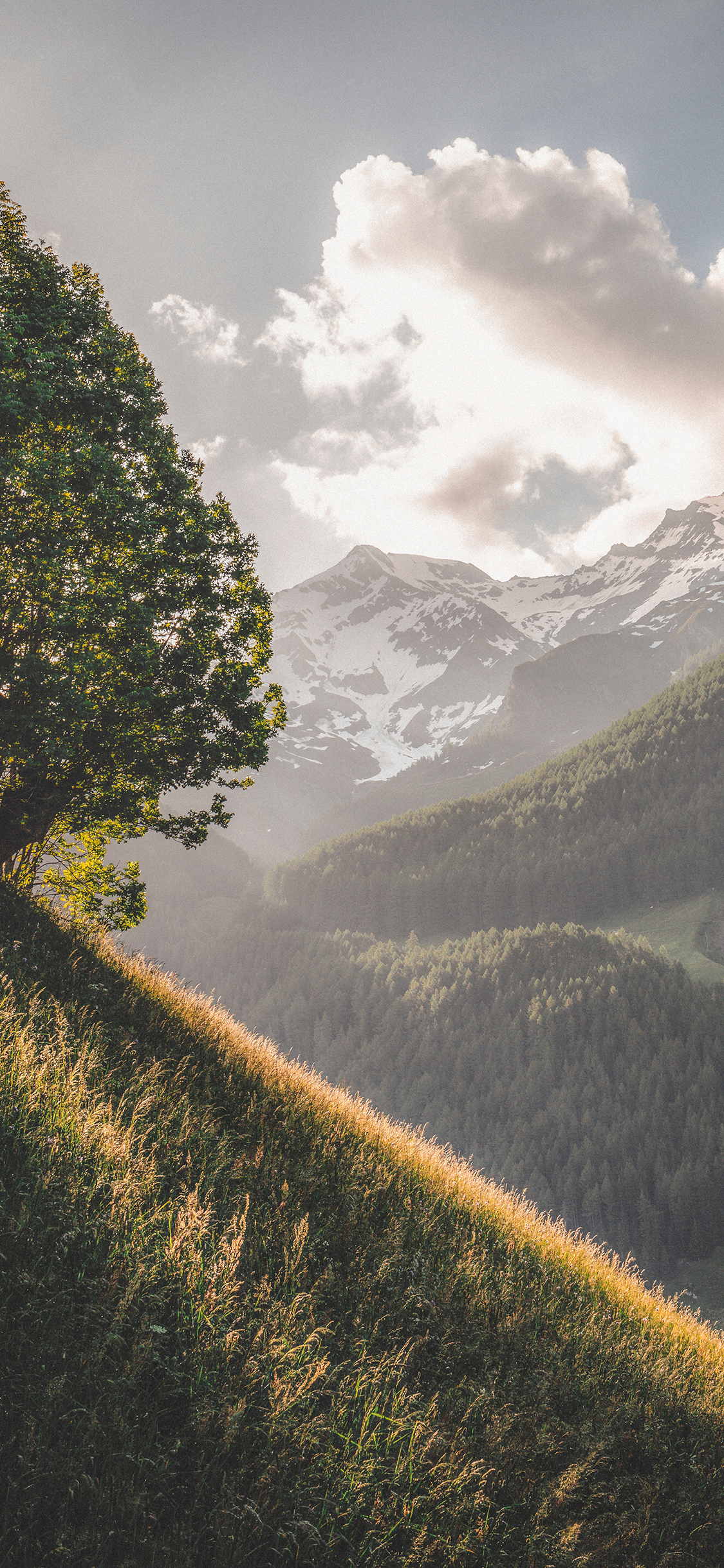 [2436×1125]景色 山坡 高山 远眺 苹果手机壁纸图片