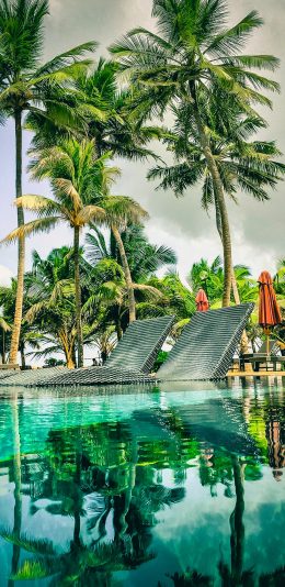 [2436x1125]景色 度假 椰树 水面 波光粼粼 苹果手机壁纸图片