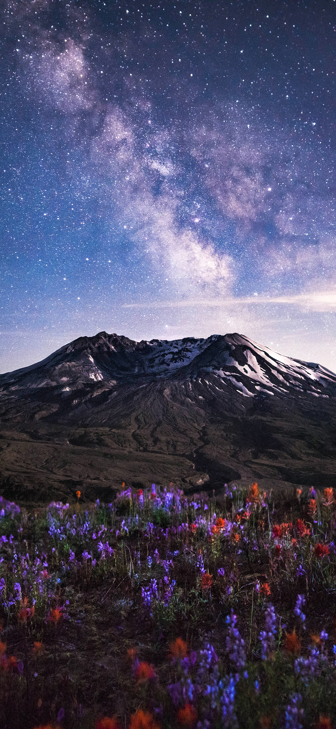 [2436×1125]景色 景观 薰衣草 花田 星空 苹果手机壁纸图片