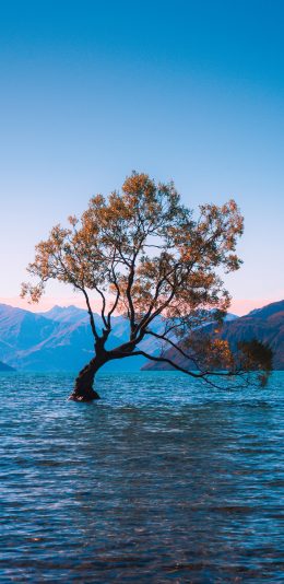 [2436x1125]景色 树木 水 湖面 群山 苹果手机壁纸图片