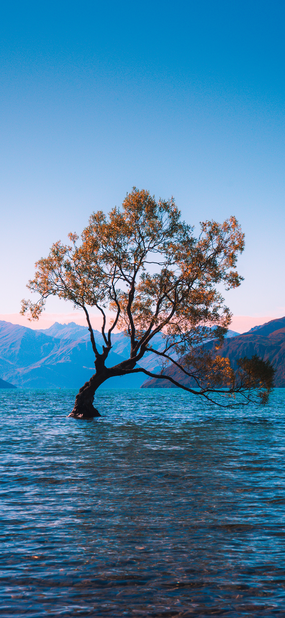 [2436×1125]景色 树木 水 湖面 群山 苹果手机壁纸图片