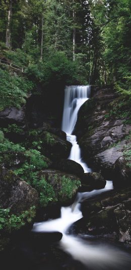 [2436x1125]景色 树林 溪水 瀑布 苹果手机壁纸图片