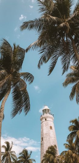 [2436x1125]景色 椰树 灯塔 建筑 高处 苹果手机壁纸图片