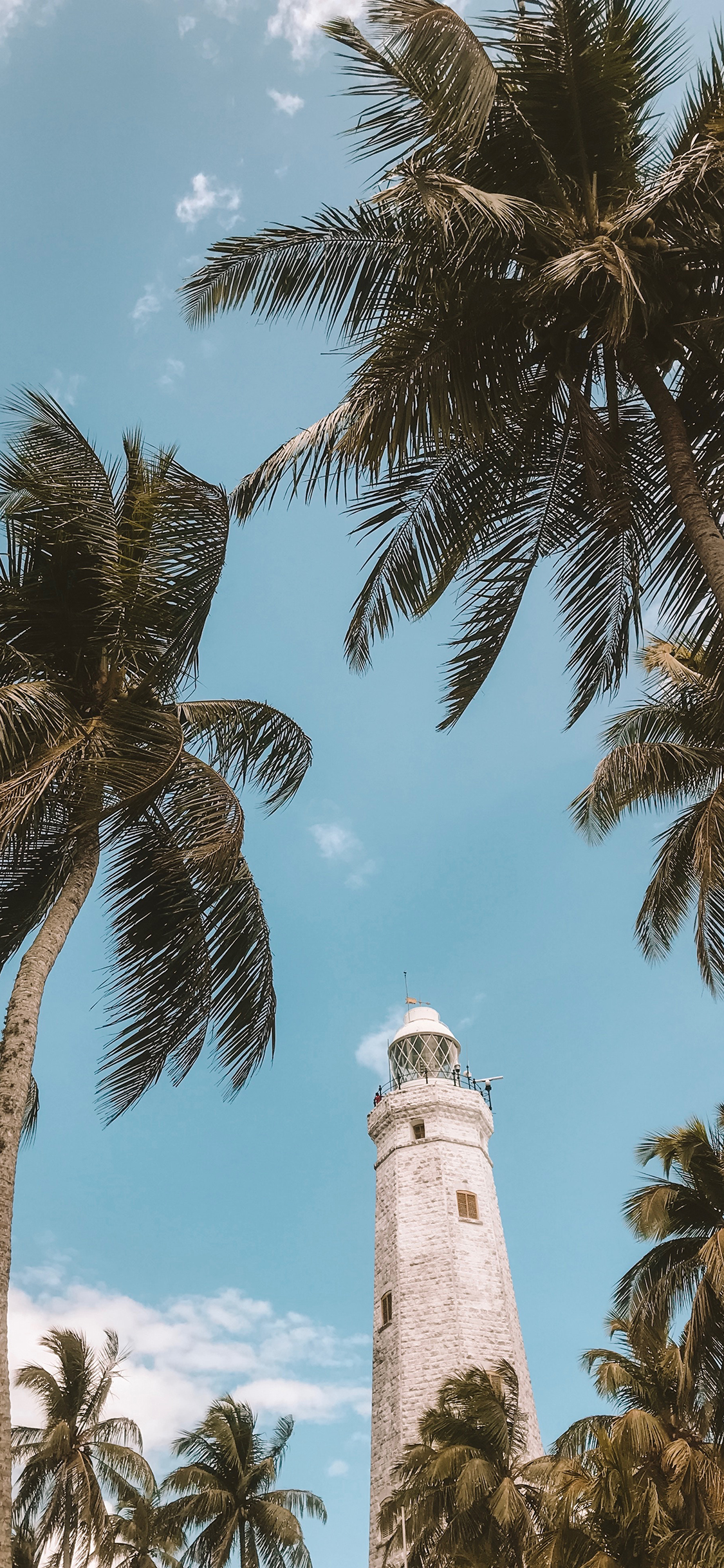 [2436×1125]景色 椰树 灯塔 建筑 高处 苹果手机壁纸图片