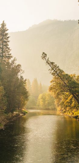 [2436x1125]景色 河流 树林 雾气 苹果手机壁纸图片