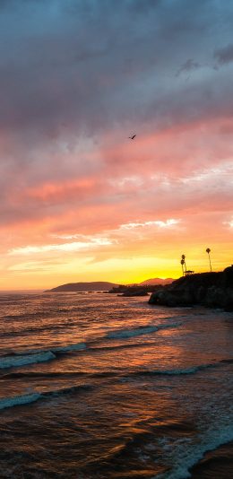 [2436x1125]景色 海浪 夕阳 彩霞 海岸 苹果手机壁纸图片