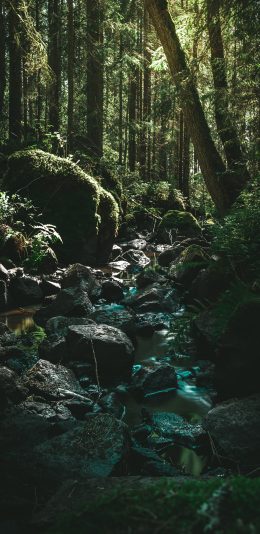 [2436x1125]景色 溪水 山石 树林 苹果手机壁纸图片