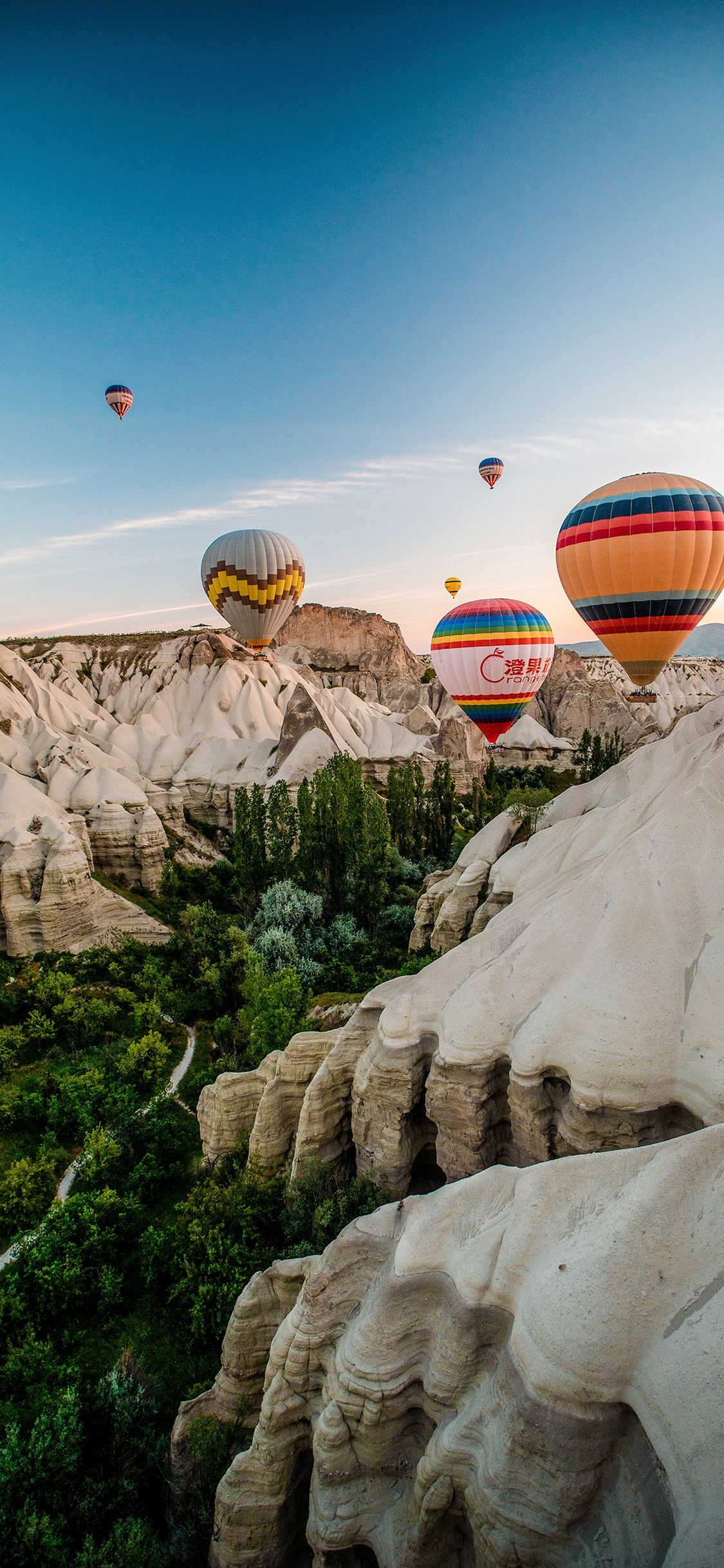 [2436×1125]景色 热气球 地貌 土耳其 苹果手机壁纸图片