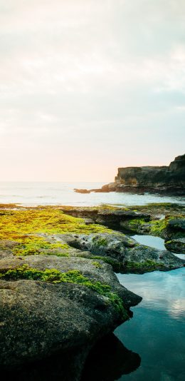 [2436x1125]景色 苔藓 山水 海岸 苹果手机壁纸图片