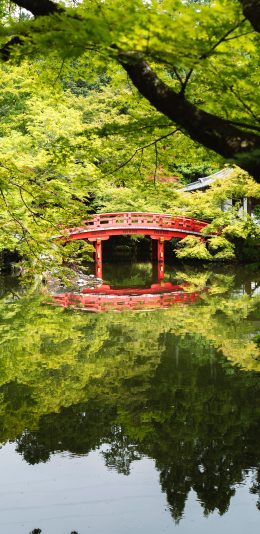 [2436x1125]景观 倒映 湖面 树木 苹果手机壁纸图片