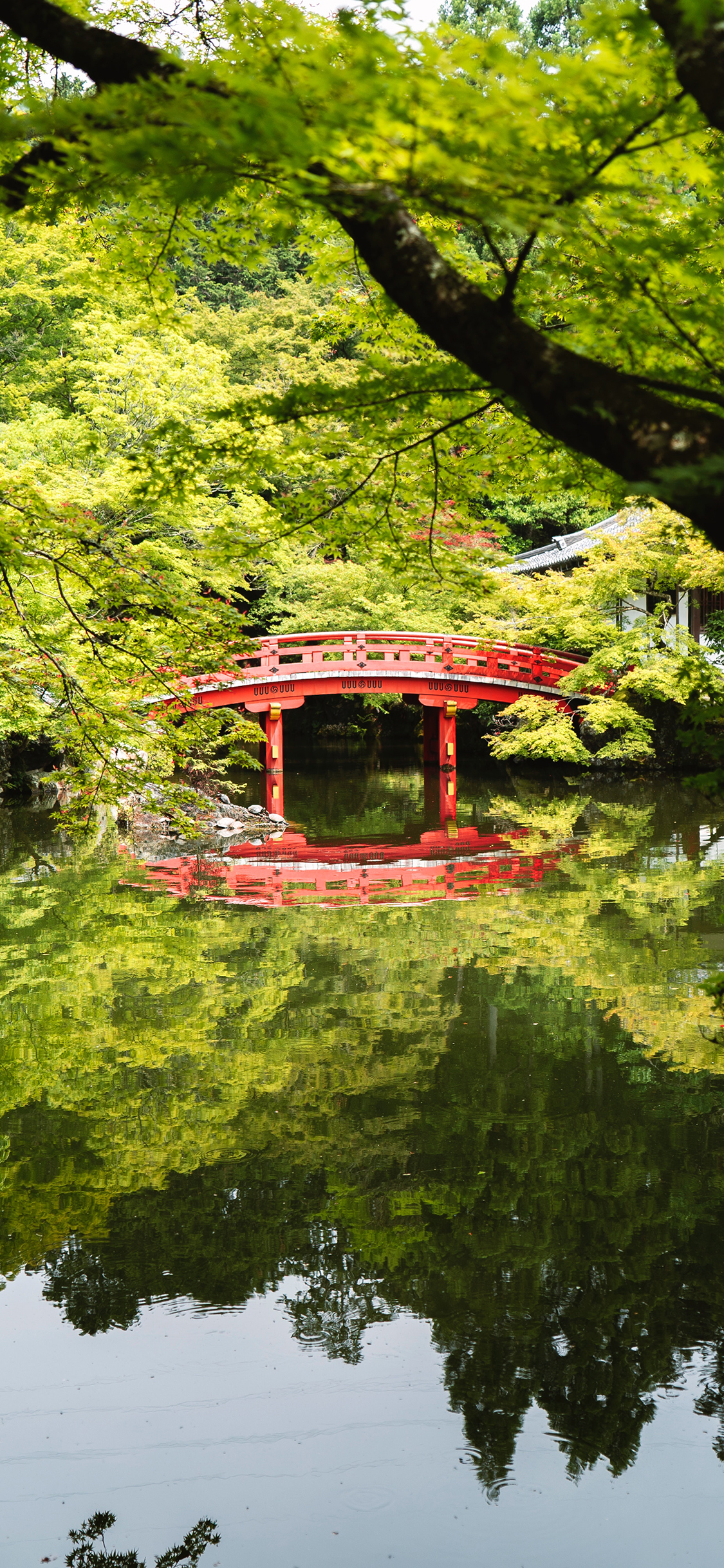 [2436×1125]景观 倒映 湖面 树木 苹果手机壁纸图片