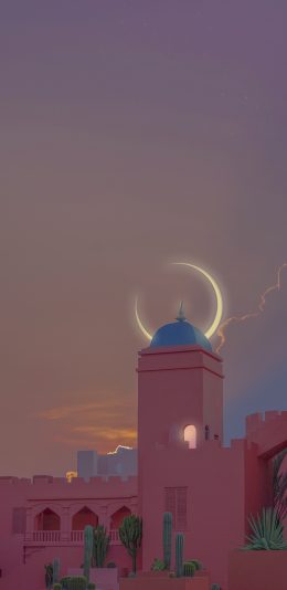 [2436x1125]月亮 仙人掌 粉色 建筑 苹果手机壁纸图片