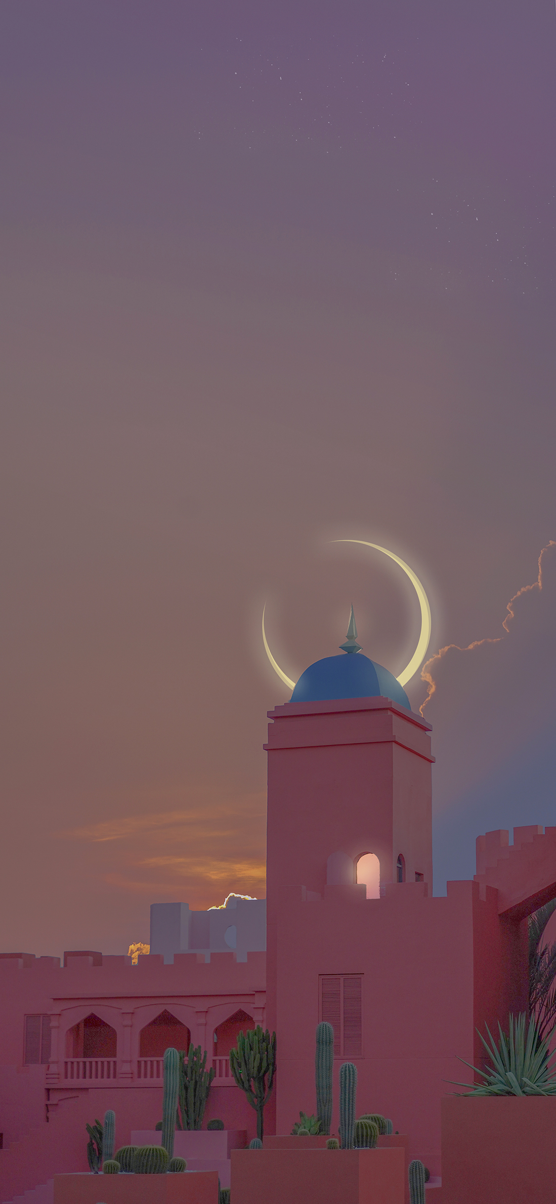 [2436×1125]月亮 仙人掌 粉色 建筑 苹果手机壁纸图片