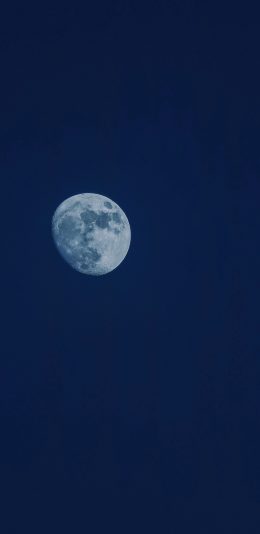 [2436x1125]月亮 天空 夜晚 蓝色 深邃 苹果手机壁纸图片