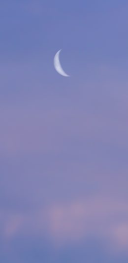 [2436x1125]月亮 天空 夜空 紫色 月牙 苹果手机壁纸图片