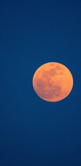 [2436x1125]月亮 星球 月球 夜晚 苹果手机壁纸图片