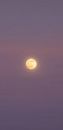 [2436x1125]月亮 紫色 夜空 天空 苹果手机壁纸图片