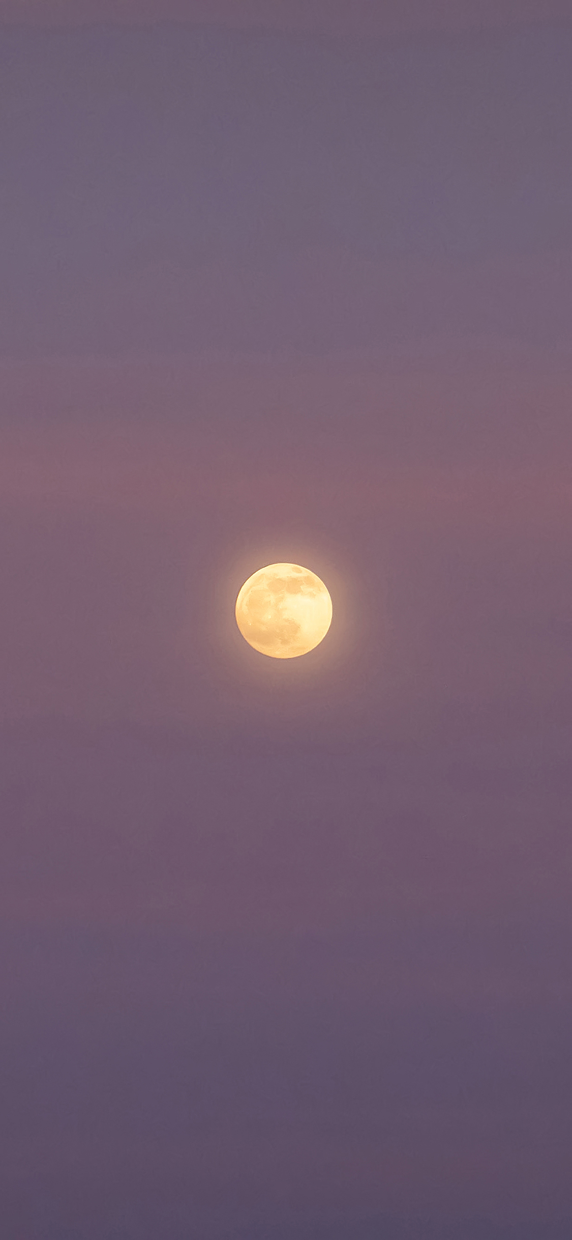 [2436×1125]月亮 紫色 夜空 天空 苹果手机壁纸图片