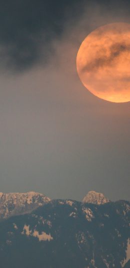 [2436x1125]月球 星球 月亮 昏暗 苹果手机壁纸图片