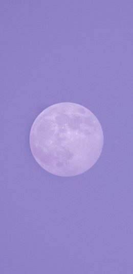 [2436x1125]月球 月亮 天空 紫色 圆 苹果手机壁纸图片
