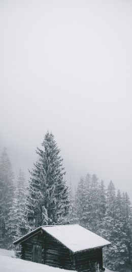 [2436x1125]木屋 雪季 树林 郊外 苹果手机壁纸图片