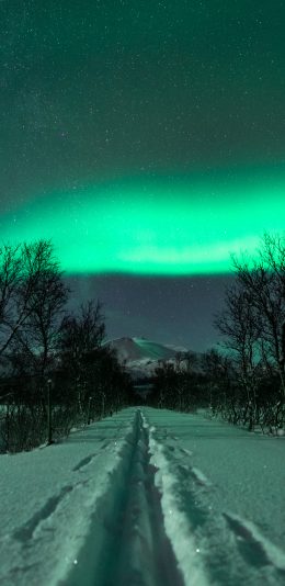 [2436x1125]极光 夜晚 星空 雪地 苹果手机壁纸图片