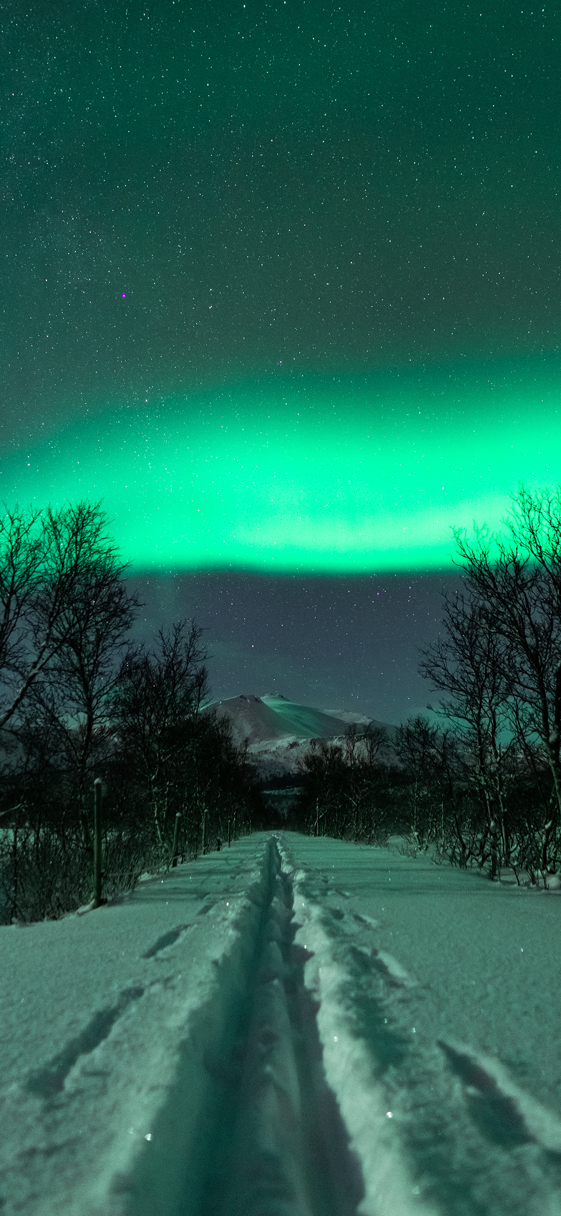 [2436×1125]极光 夜晚 星空 雪地 苹果手机壁纸图片