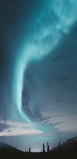 [2436x1125]极光 大自然 天文现象 夜空 星空 苹果手机壁纸图片