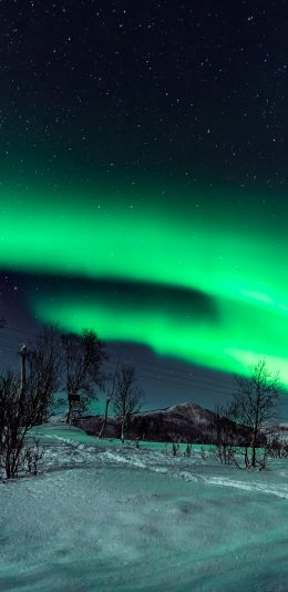 [2436x1125]极光 大自然 天文现象 雪地 星空 苹果手机壁纸图片