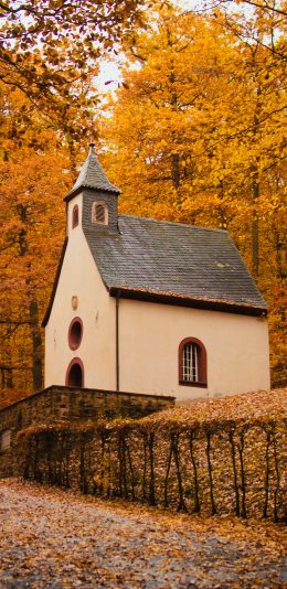 [2436x1125]林中 小屋 落叶 唯美 苹果手机壁纸图片