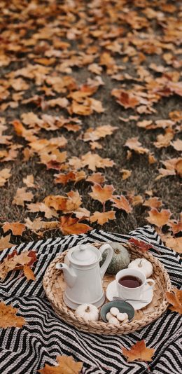 [2436x1125]枫叶 落叶 草地 野餐 茶水 南瓜