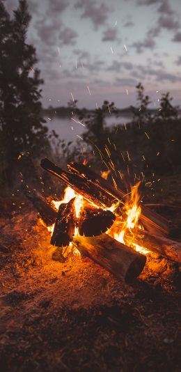 [2436x1125]柴火 燃烧 木柴 星火 苹果手机壁纸图片
