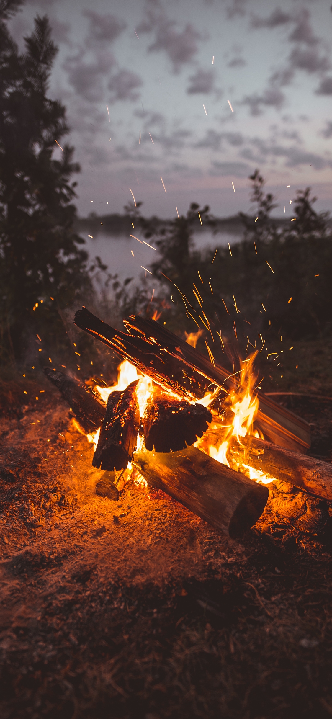 [2436×1125]柴火 燃烧 木柴 星火 苹果手机壁纸图片