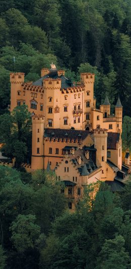[2436x1125]树丛 建筑 城堡 欧式 苹果手机壁纸图片