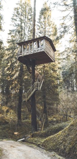 [2436x1125]树屋 森林 建造 阶梯 苹果手机壁纸图片