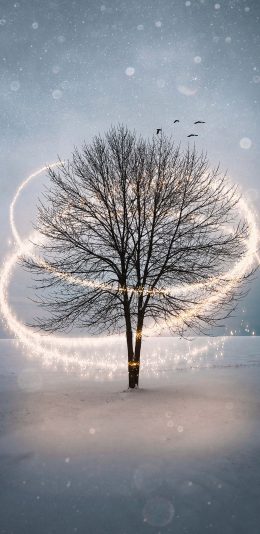 [2436x1125]树木 光线 雪地 飞鸟 苹果手机壁纸图片