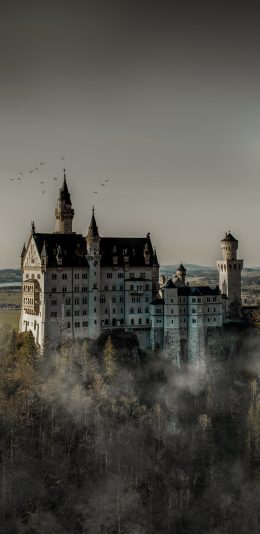 [2436x1125]树木 城堡 神秘 飞鸟 苹果手机壁纸图片